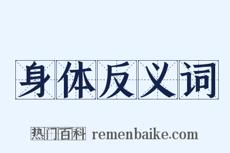 身体反义词是什么意思的图片